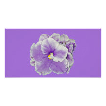 African Violet Purple Custom Photo Card