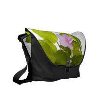 african violet - saintpaulia ionantha courier bags