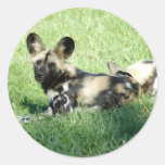 african wild dog_10x10 (2) stickers