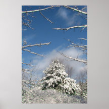 After the Storm Print
