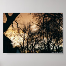After the Storm Posters