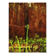 Afterburn Photographic Print