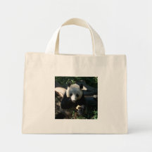 Afternoon Snack Canvas Bags