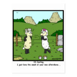 Aftershave Post Cards