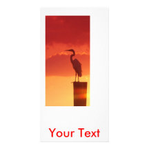 Against A Red Sky Photo Cards