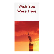 Against A Red Sky, Wish You Were Here Personalized Photo Card