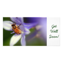 agapanthus africanus, GetWellSoon! Photo Card