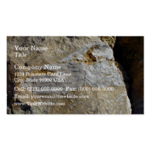 Agatified bark in limestone business card template
