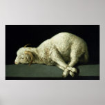 Agnus Dei, c.1635-40 Posters