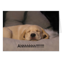 Ahhhhhhh!!!!! Greeting Card