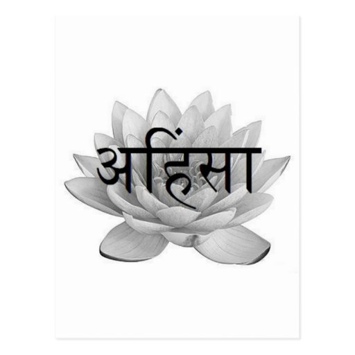 Ahimsa Lotus Flower Post Card