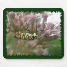 Ailanthus Webworm Moth (Atteva punctella) Items Mouse Pads