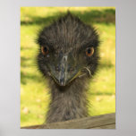Aint I Handsome Poster