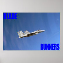 Air Force F-15 Eagles Print