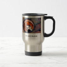 Air Lock Module ISS, Air Lock Module Mugs