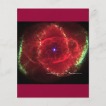 Air Mail, Zazzle Flyer