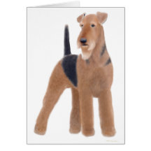 Airedale Terrier Greeting Card