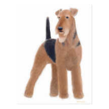 Airedale Terrier Postcard