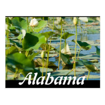 Alabama Post Cards