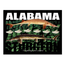 Alabama Sturgeon-Collage-Postcard