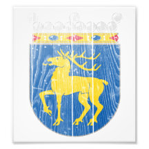 Aland Coat Of Arms Art Photo