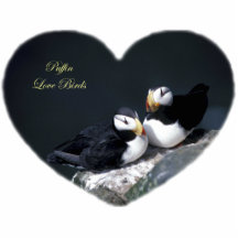 Alaska Puffins Feathered Colourful Birds Photo Cutout