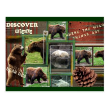 Alaska-Where The Wild Things Are Post Card