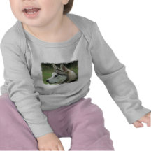 Alaskan Husky Infant T-shirts