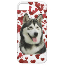 Alaskan love iPhone 5 cover