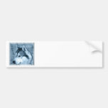 Alaskan Malamute Bumper Sticker