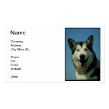 Alaskan Malamute Business Card