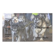 alaskan malamute business card