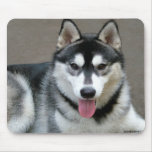 Dog Mousepads