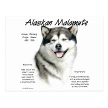 Alaskan Malamute History Design Postcards