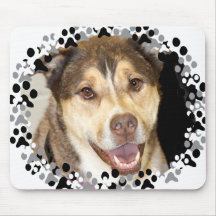Alaskan Malamute Mix Photo Mouse Mat