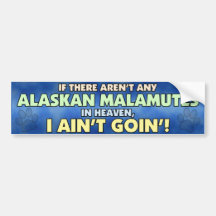 Alaskan Malamutes in Heaven Bumper Sticker
