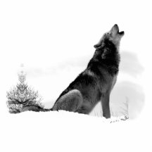 Alaskan Timber Wolf Photo Sculptures