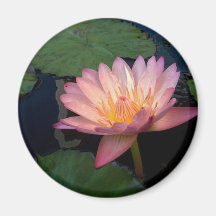Albert Greenberg Fridge Magnet