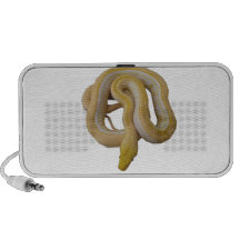 Albino Genetic Stripe iPod Speaker
