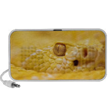 albino rattlesnake iPhone altavoz