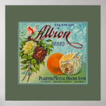 Albion Oranges Fruit Crate Label Poster