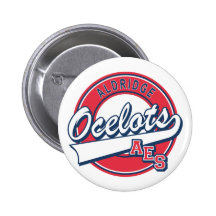 Aldridge Elementary School Button