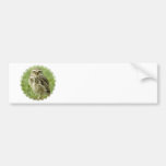 Alert Owl Bumper Sticker