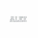 ALEX EMBROIDERED HOODED SWEATSHIRT