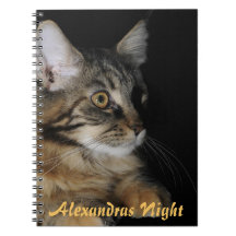 Alexandras Night Notebook