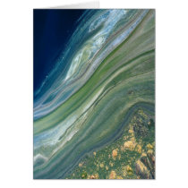 Algal scum on treated wastewater cards