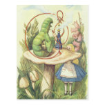 Alice Meets the Caterpillar Post Cards