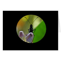 Alien Scout Greeting Card