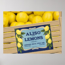 Aliso Lemons Poster