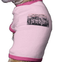 All Together Now Nursing Class Dog Clothing
